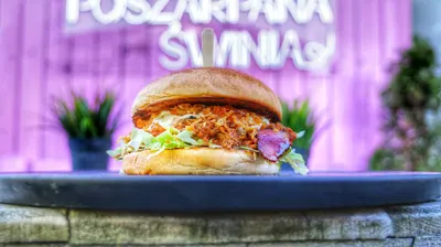 Poszarpana Świnia - Jastrzębie